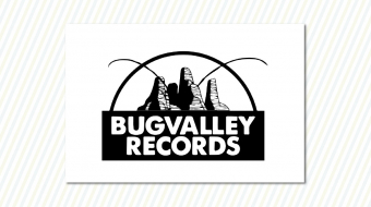 logo_bug-valley-records