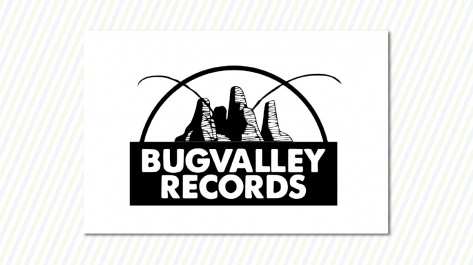 logo_bug-valley-records